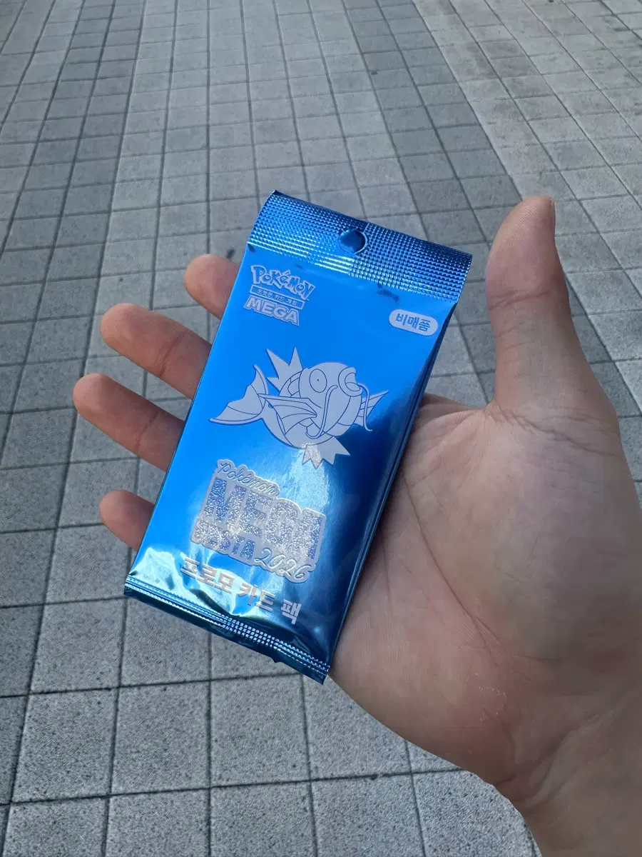 잉어킹 프로모카드