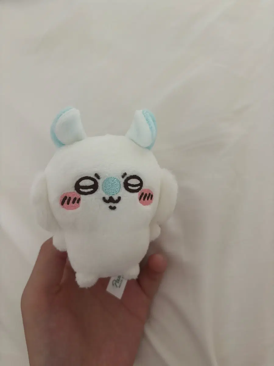 모몽가 앉은누이
