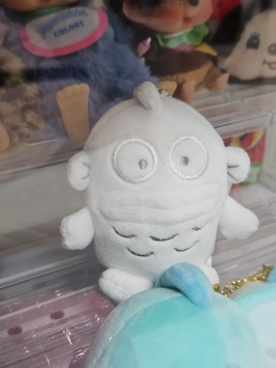 한교동 화이트 컬러누이