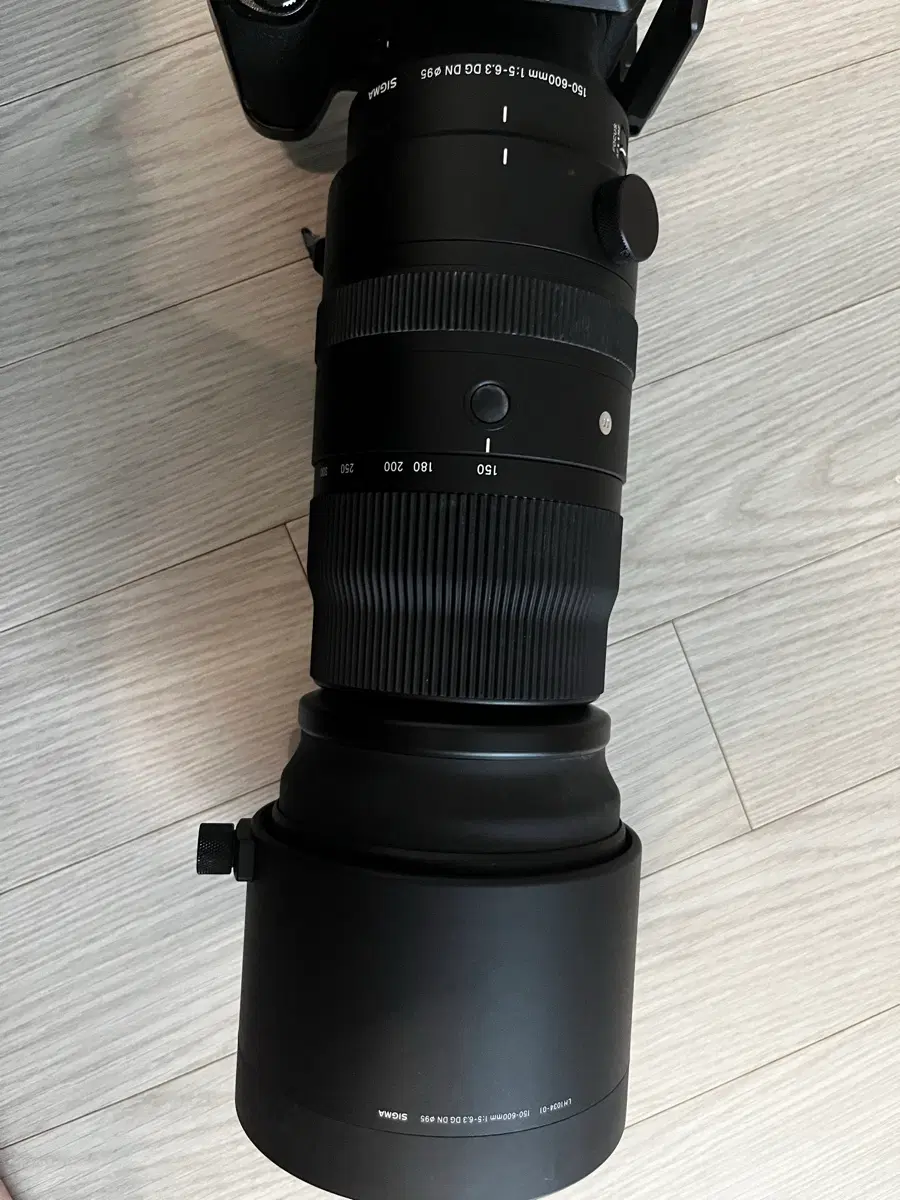 시그마 150600 렌즈 스포츠