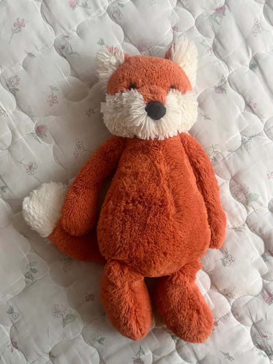 젤리캣 여우 인형 jellycat