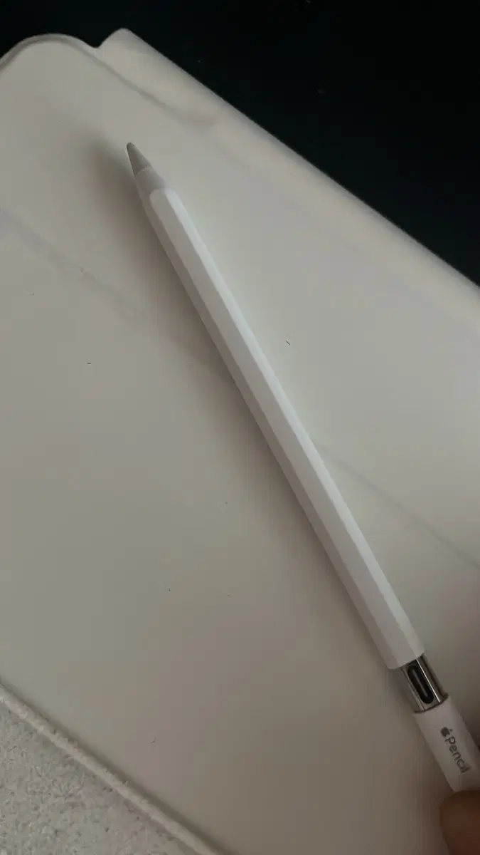 애플 펜슬 C타입