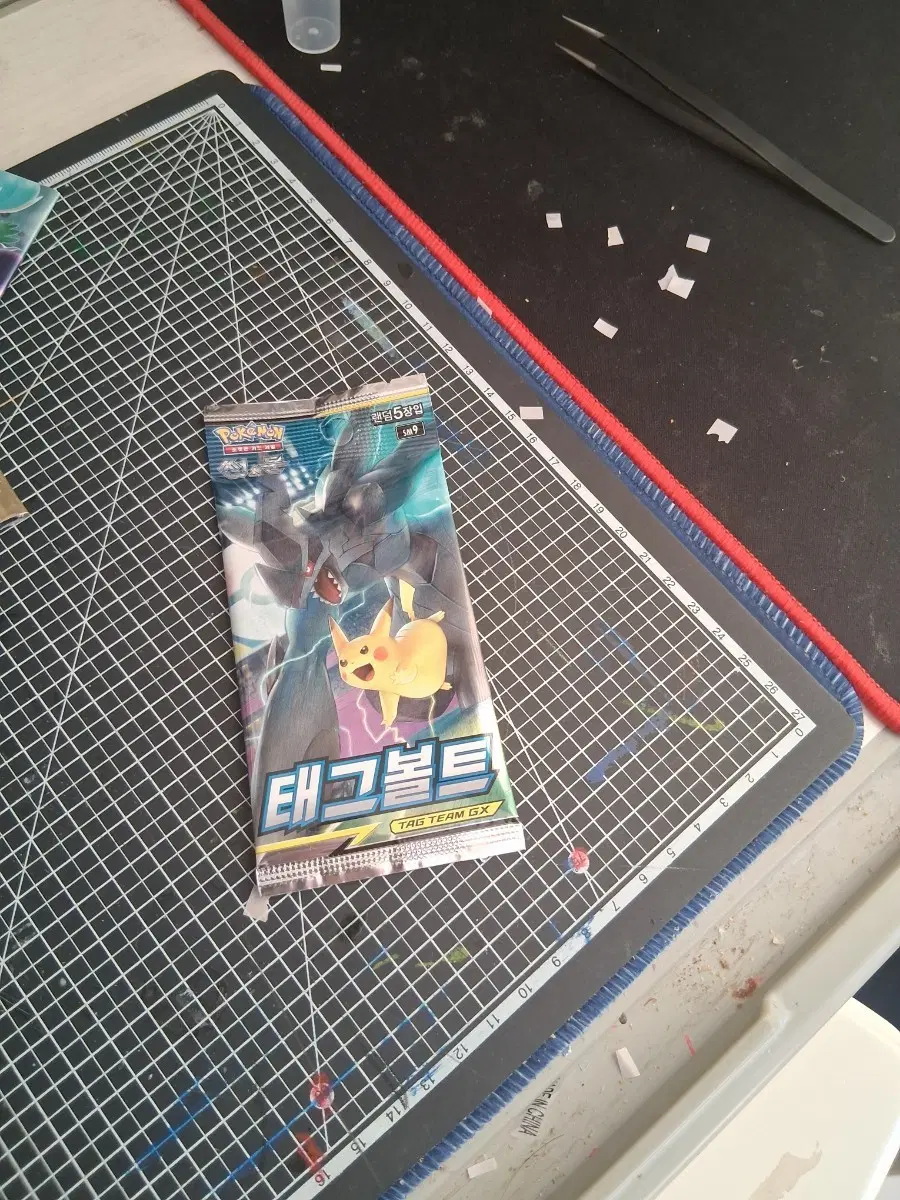 포켓몬카드 태그볼트 고대팩