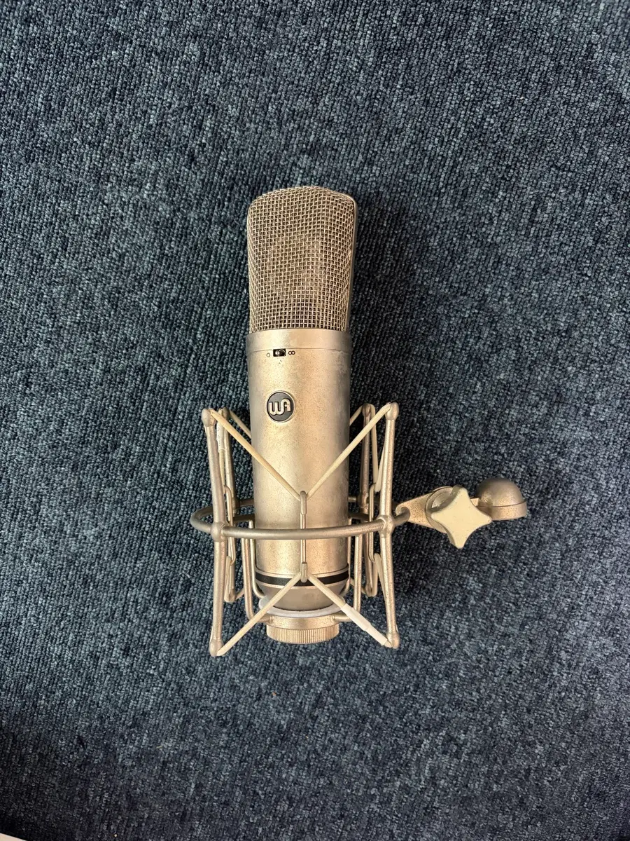 Warm audio wa87 r2 마이크
