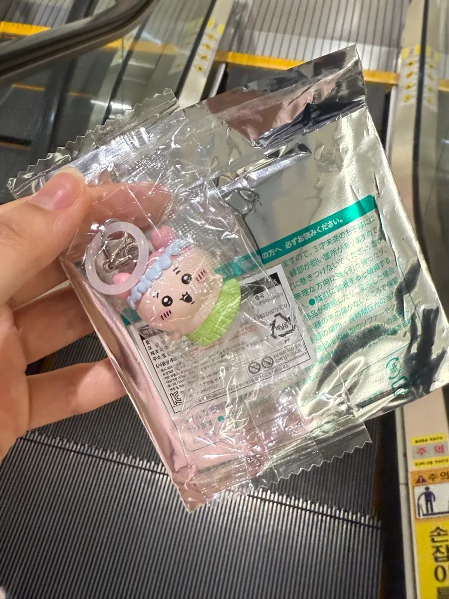 먼작귀 치이카와 영화 인어의섬 카니 헌책방