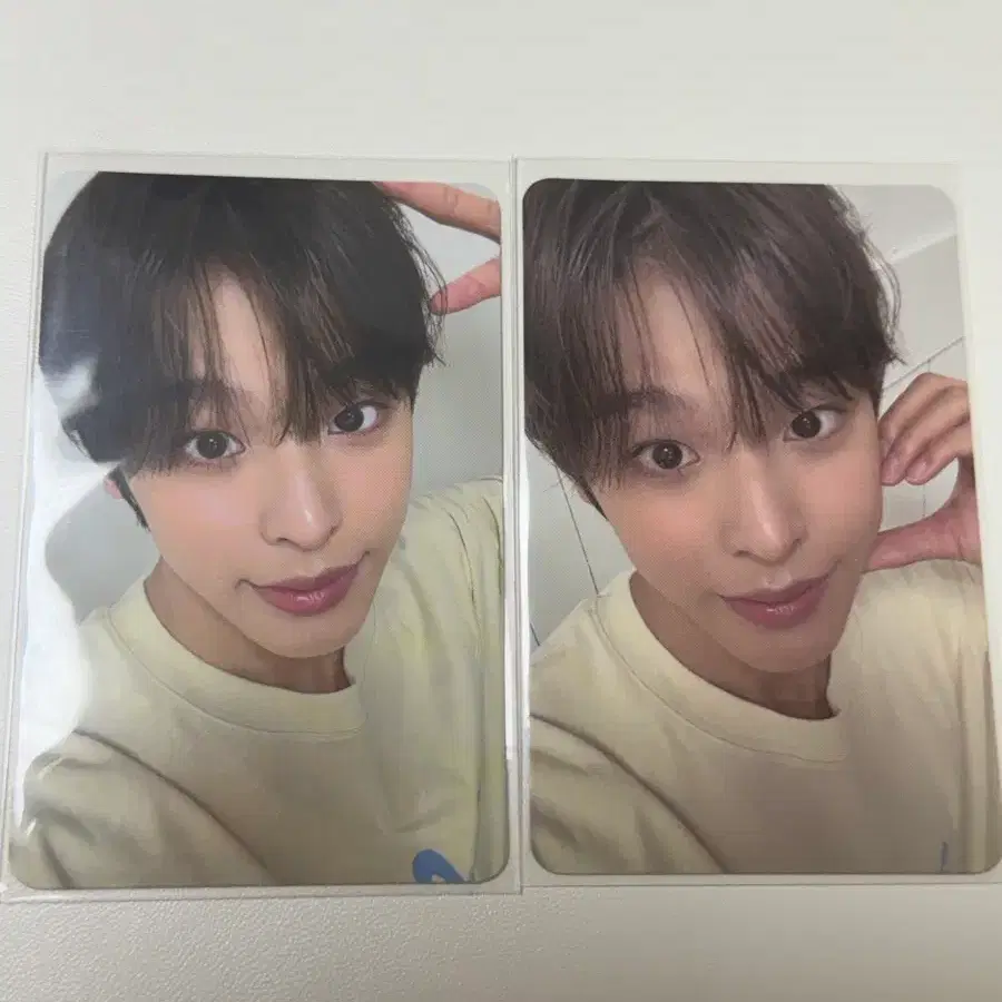 엔시티 위시 리쿠 포카 일괄 분철 쇼케이스 스테디