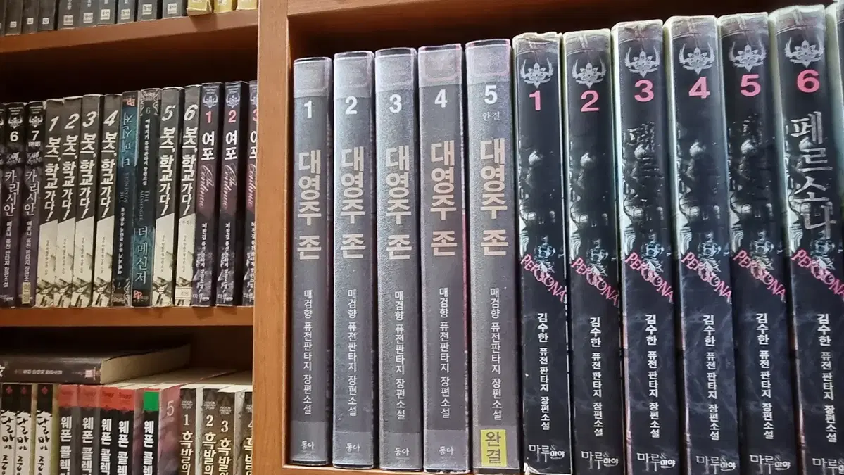 대영주존 1-5 완 매검향 퓨전 판타지 소설