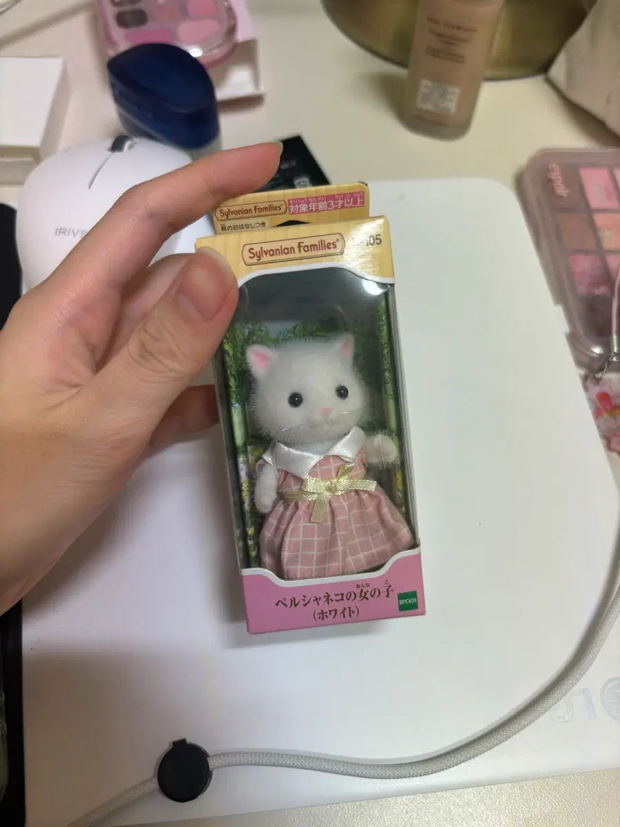 실바니안 패밀리 페르시안 고양이 여자아이 화이트