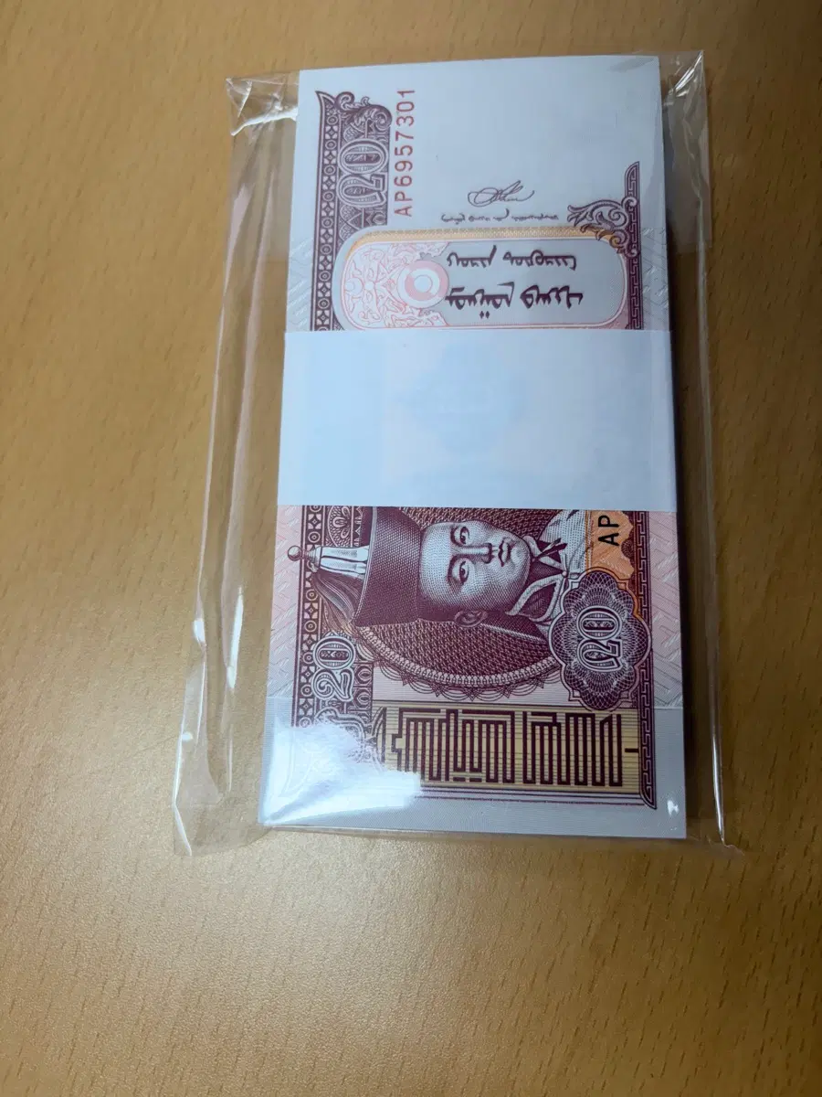 몽골 20 투그릭 다발