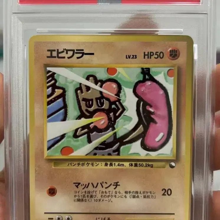 포켓몬 카드 일본판 홍수몬 PSA 9 1998 P.M. VENDING SERIES 사진 1