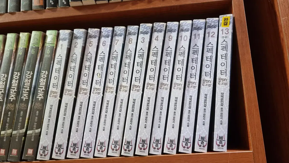 스펙데이터 1-13 완 약먹은인삼 퓨전 판타지 소설