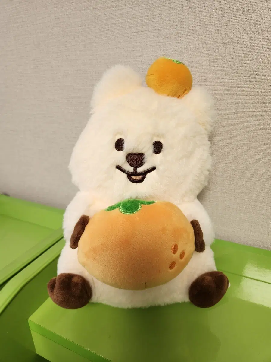 귤꽃카 중형인형 텍있음