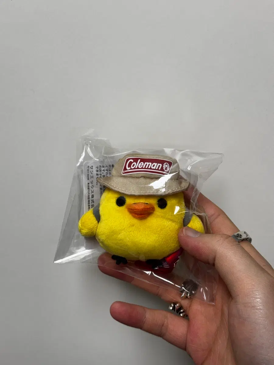 콜맨 키이로이토리 돼병 새상품