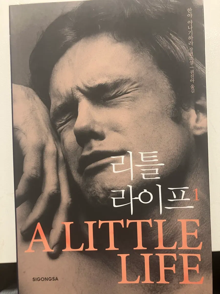 리틀라이프 1 책 판매