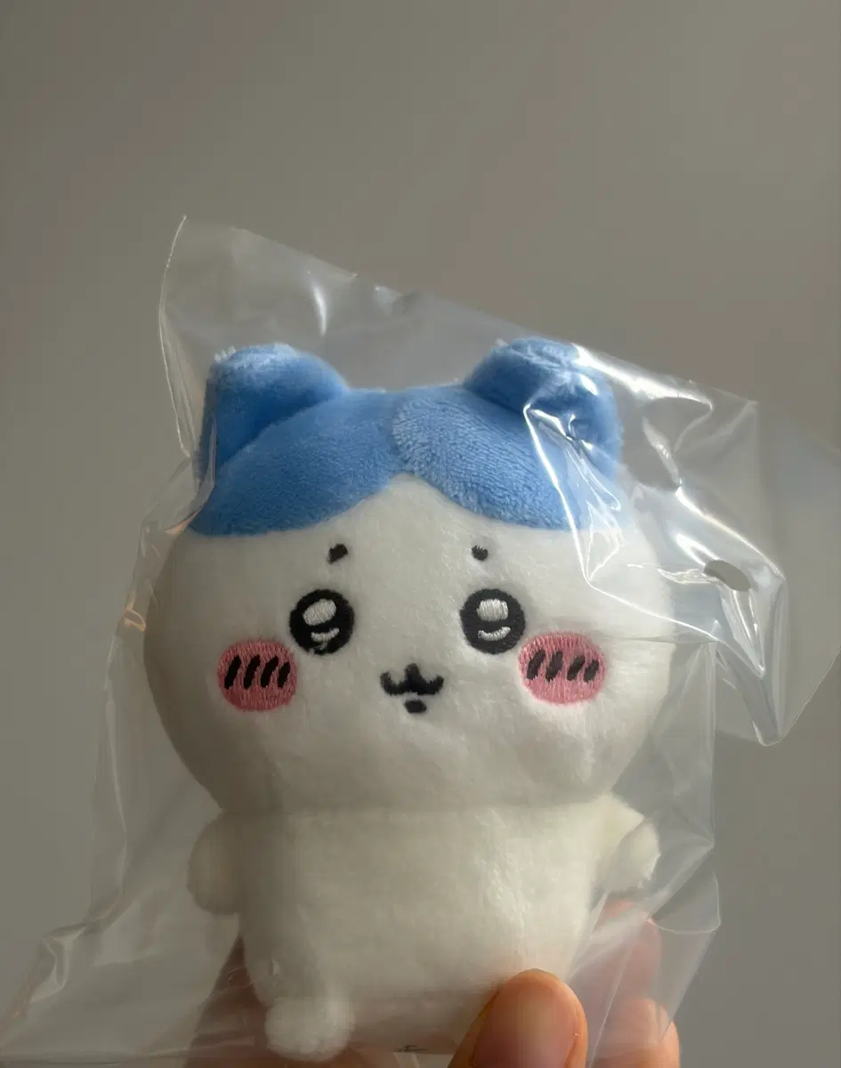 (미개봉) 앉은누이 하치와레