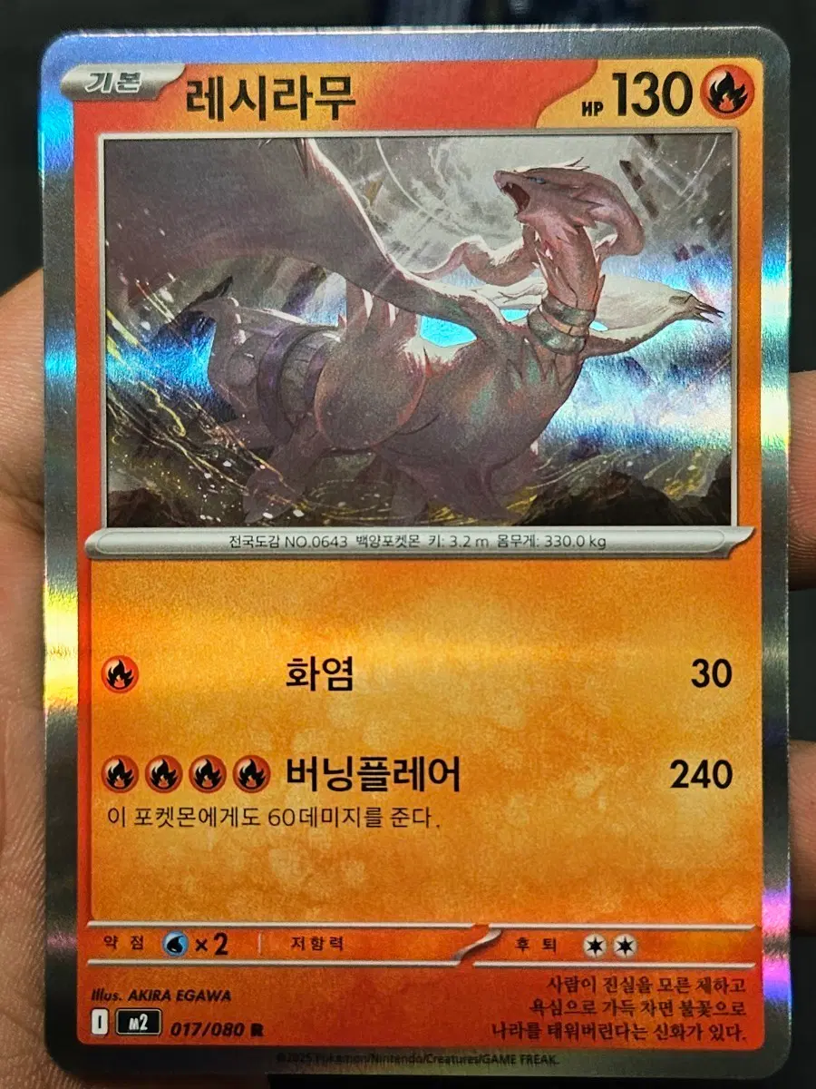 포켓몬 카드 레시라무 레어 카드