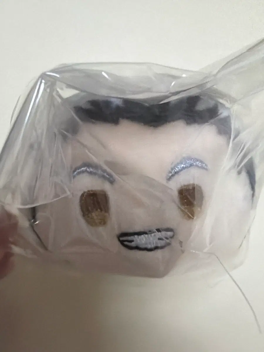 하이큐 보쿠토 코타로 쯔무쯔무 노루캬라