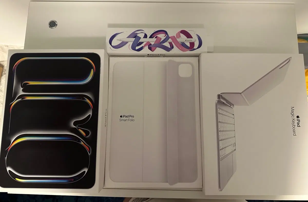 아이패드 프로 11 M4 256GB 셀룰러 세트