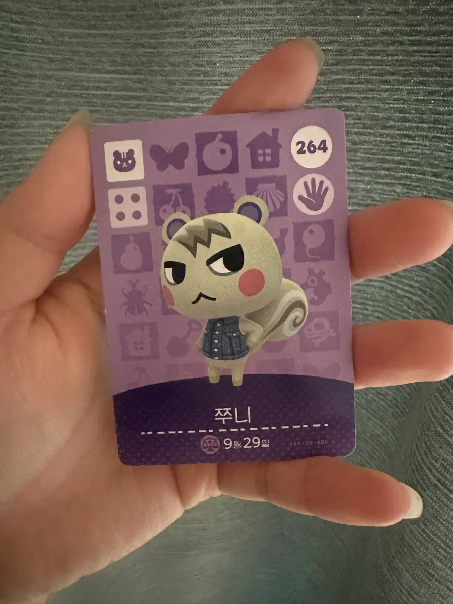 아미보카드 쭈니 잭슨