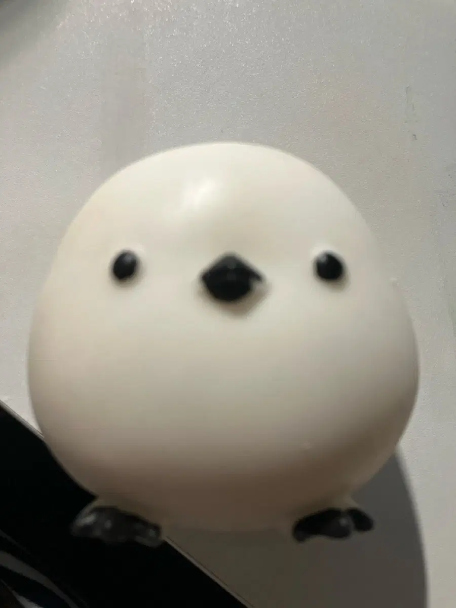 뱁새 크런치 슬랑이