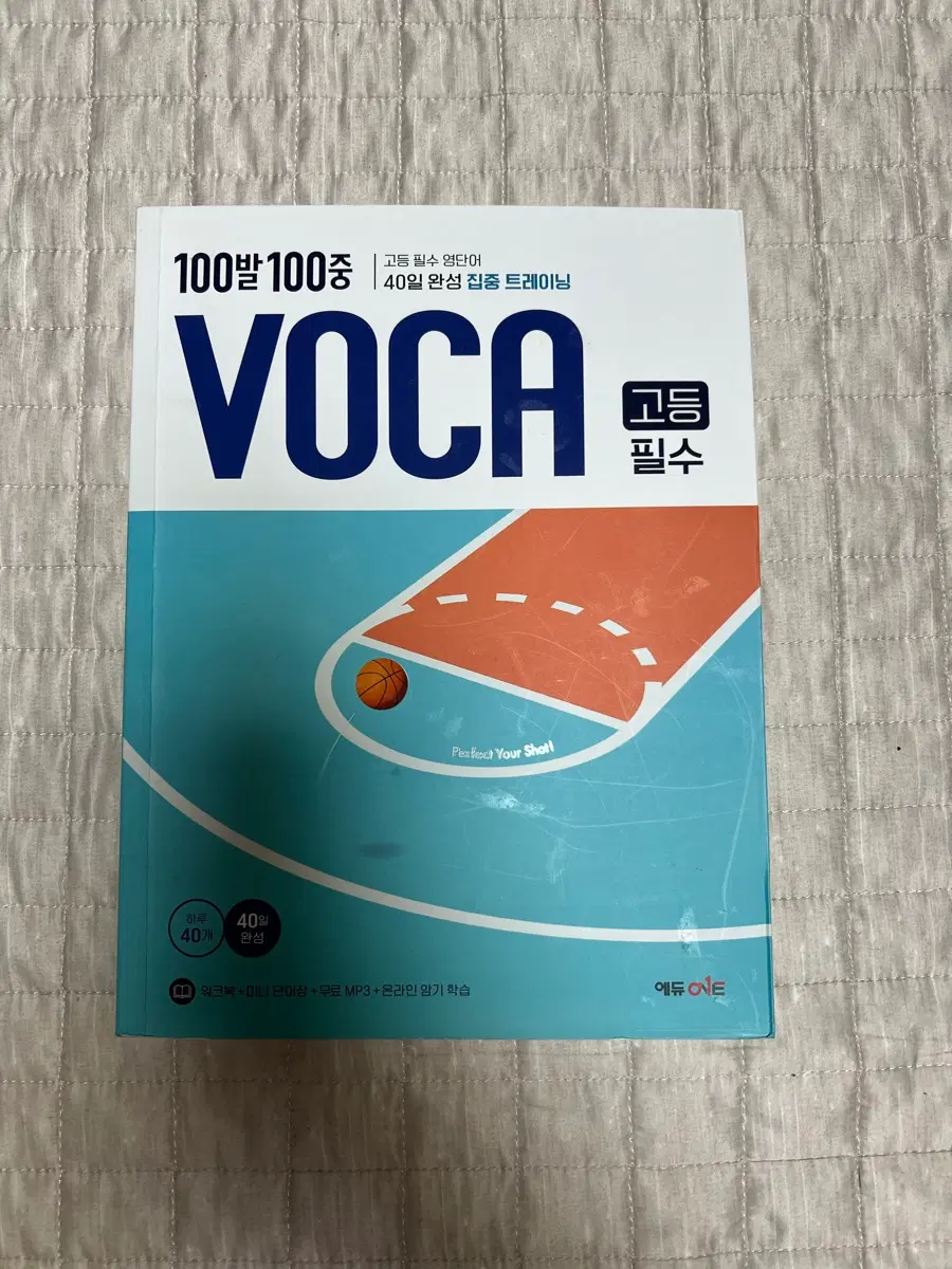 VOCA 고등 필수 영단어 100발100중