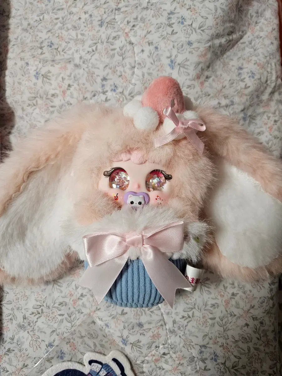 지이모 티파티 나비눈