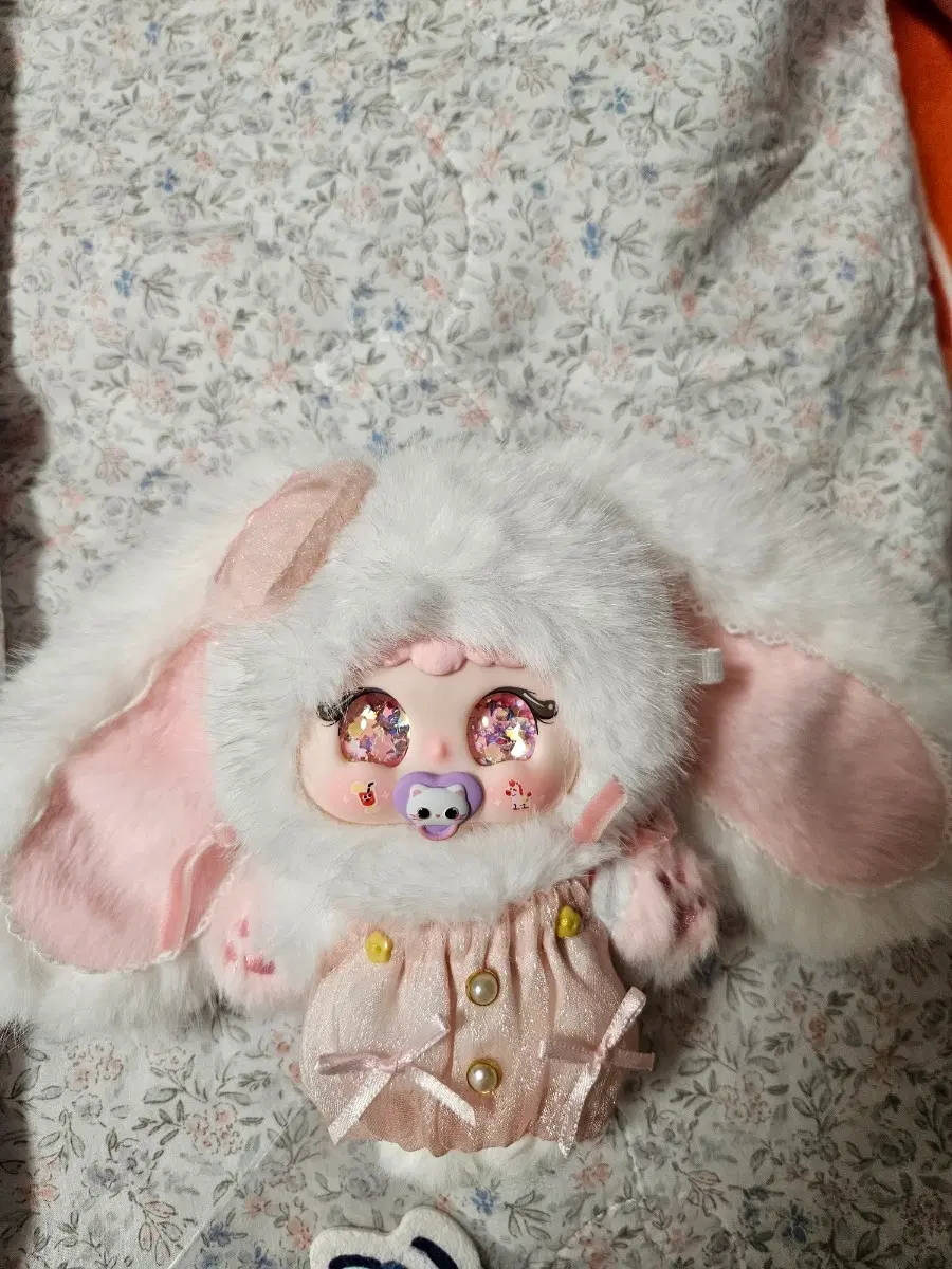 지이모 티파티 나비눈