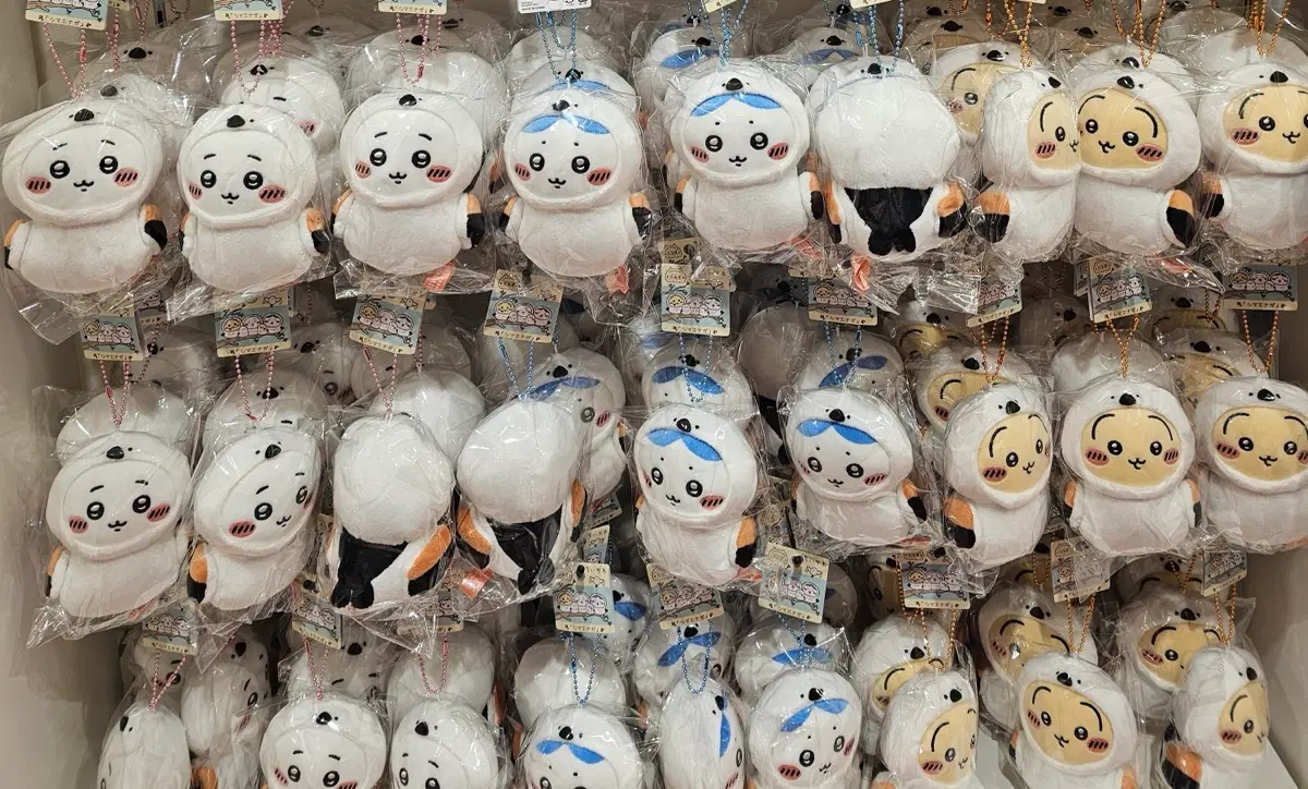 지역한정 삿포로 뱁새 우사기