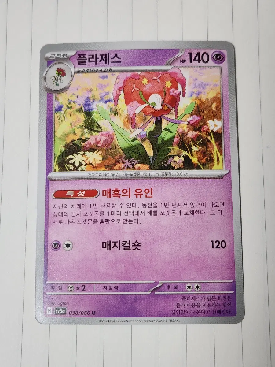 포켓몬카드 플라제스 sv5a