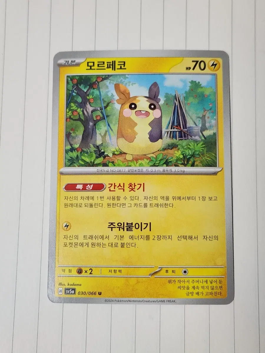 포켓몬 카드 모르페코 sv5a