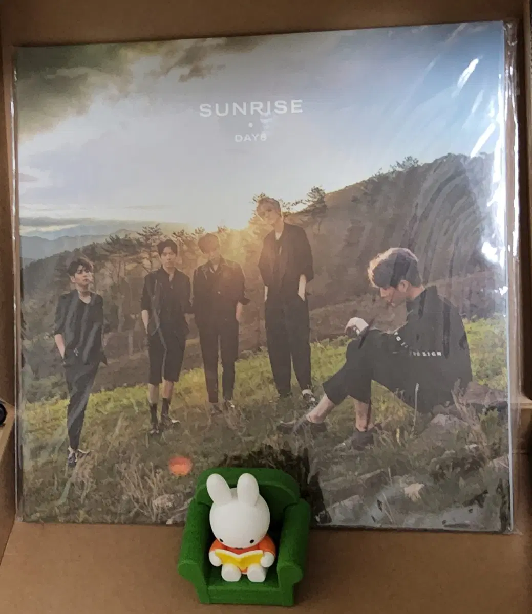 데이식스 선라이즈 lp