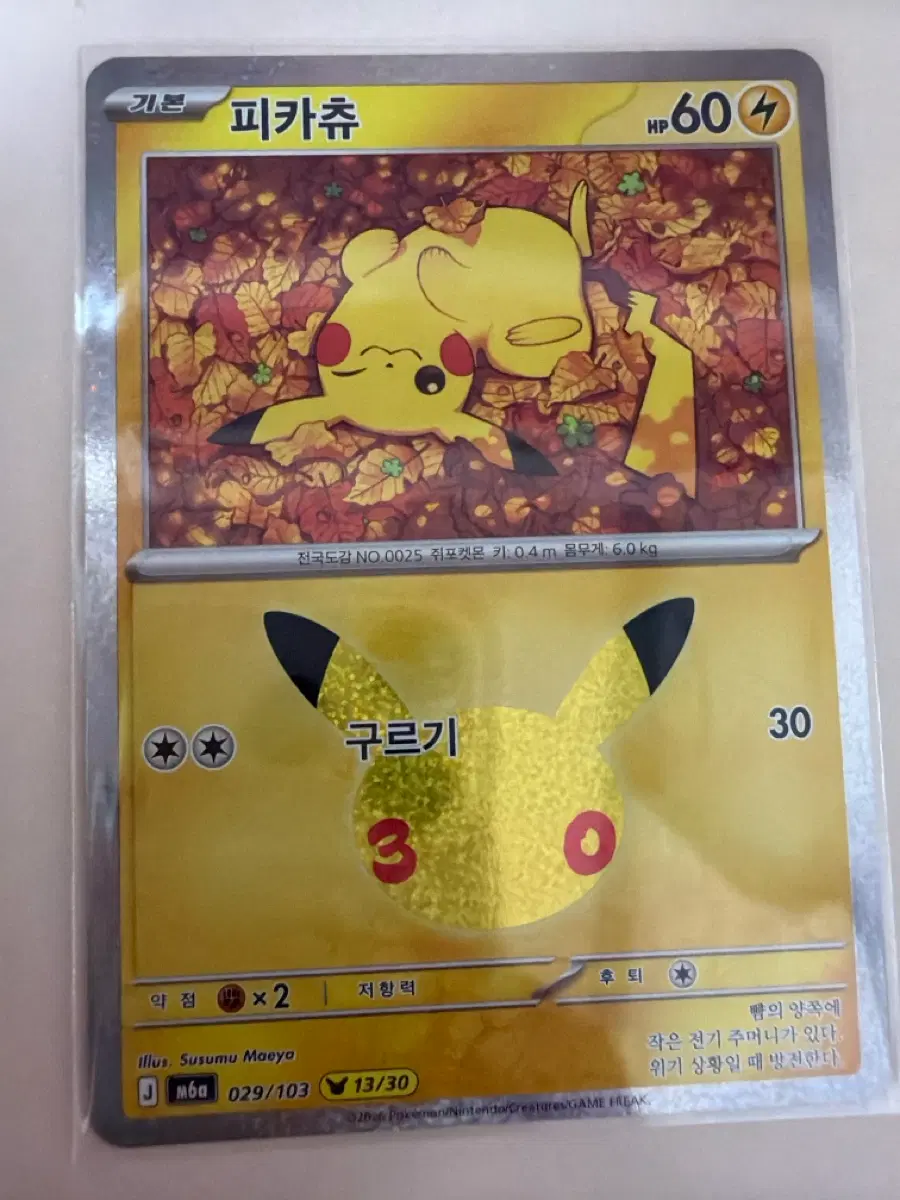 포켓몬 카드 피카츄 30주년 13번