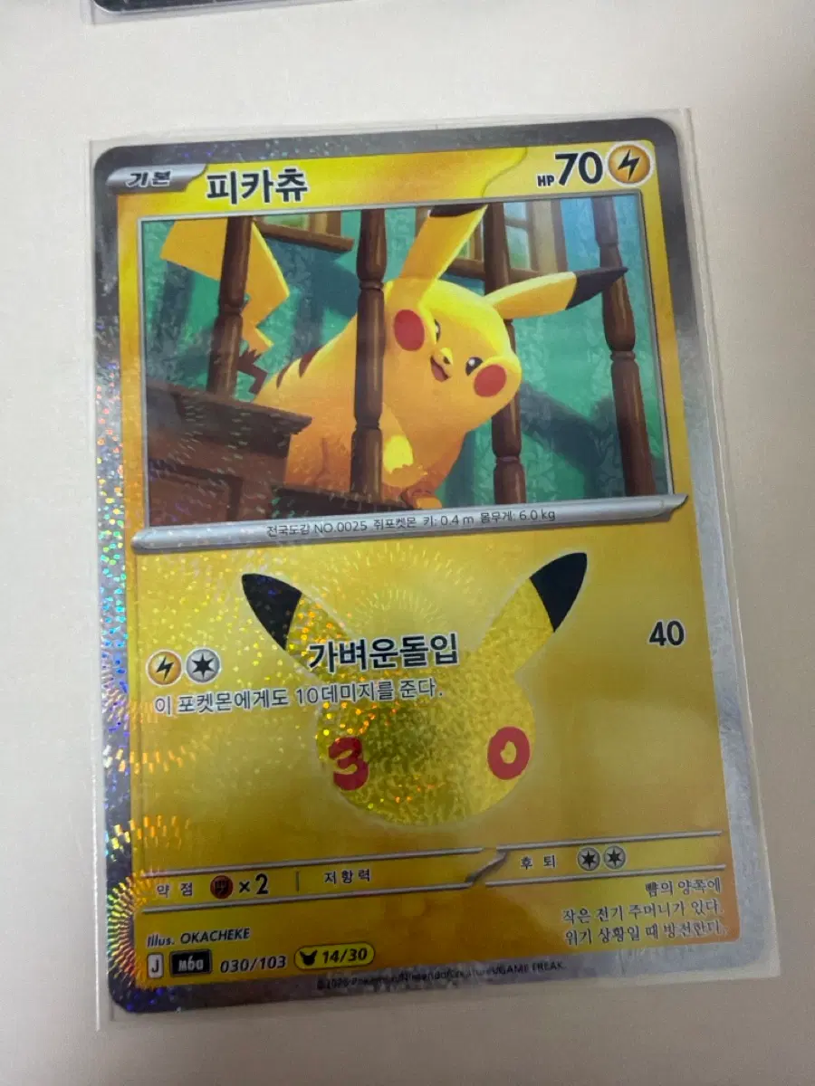 포켓몬카드 30주년 14번