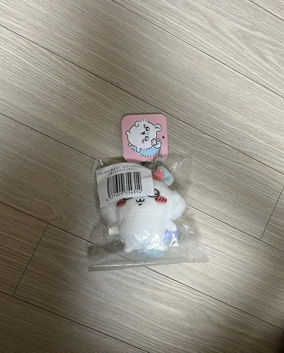 모몽가 e상 벚꽃