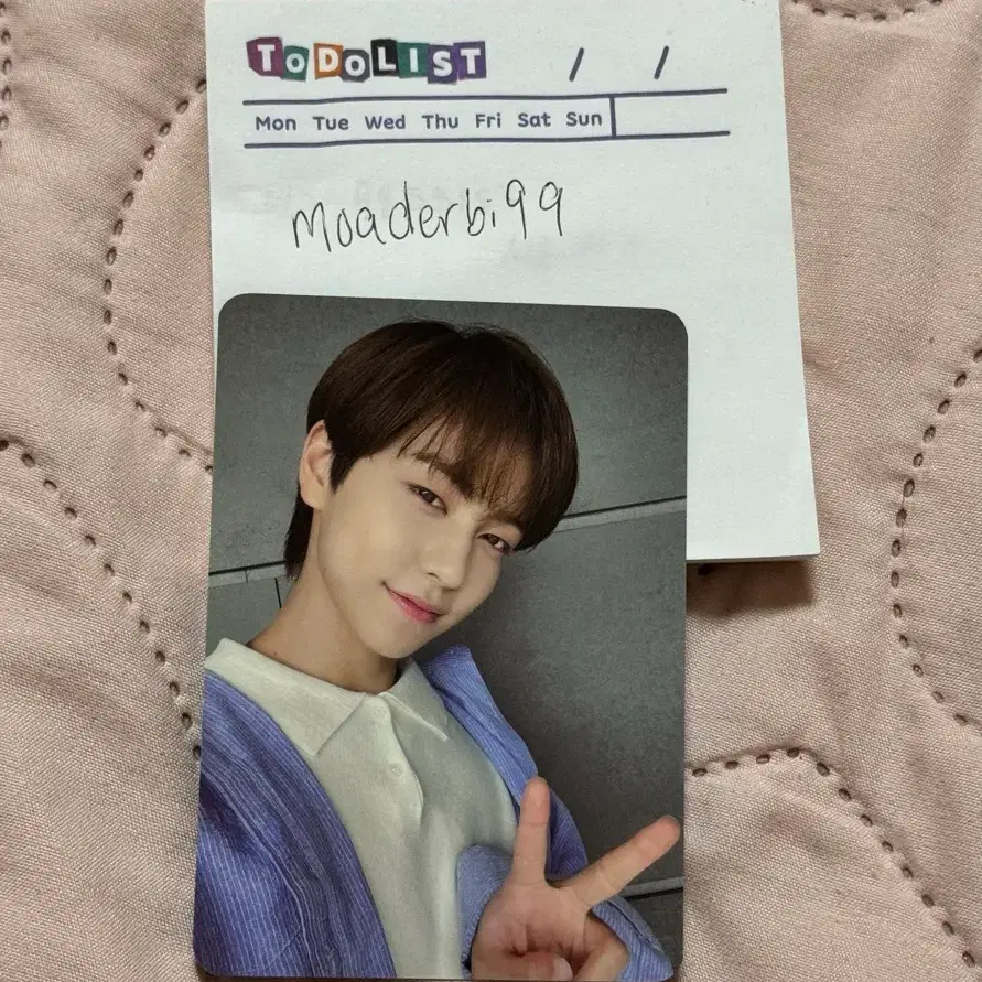 앤팀 라이트스틱 타키 포카