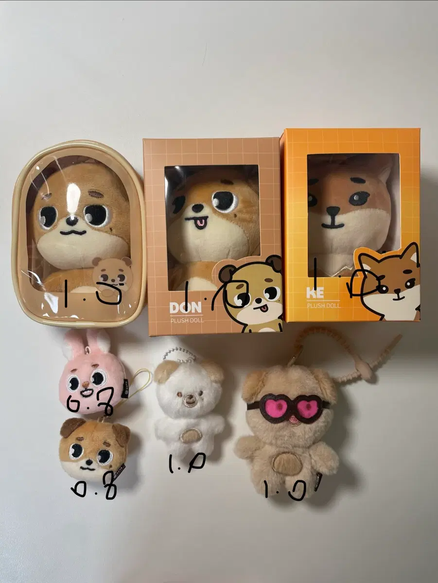 데이식스 굿즈