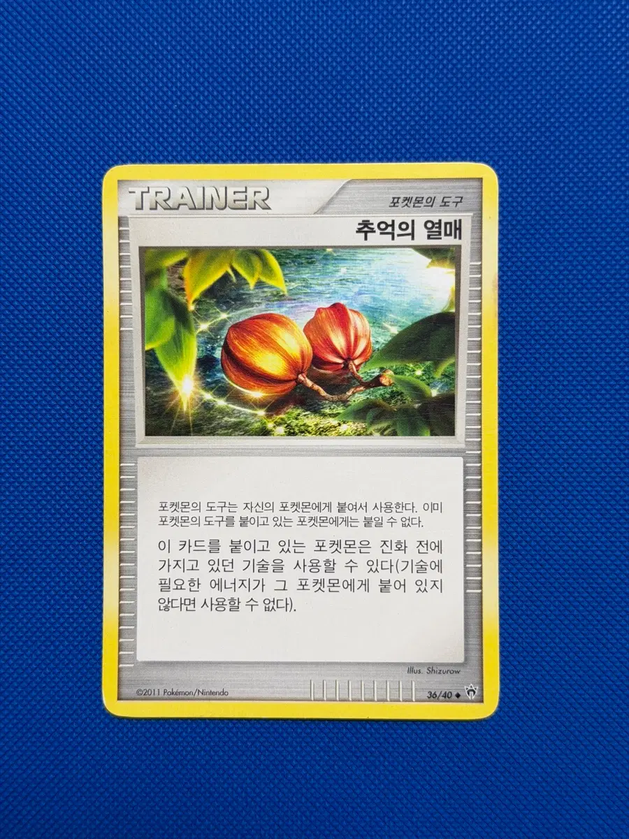포켓몬 고대 빈티지 카드 dp 추억의 열매 트레이너 아이템 -2011-