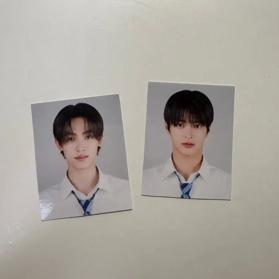 코르티스 증사 판매