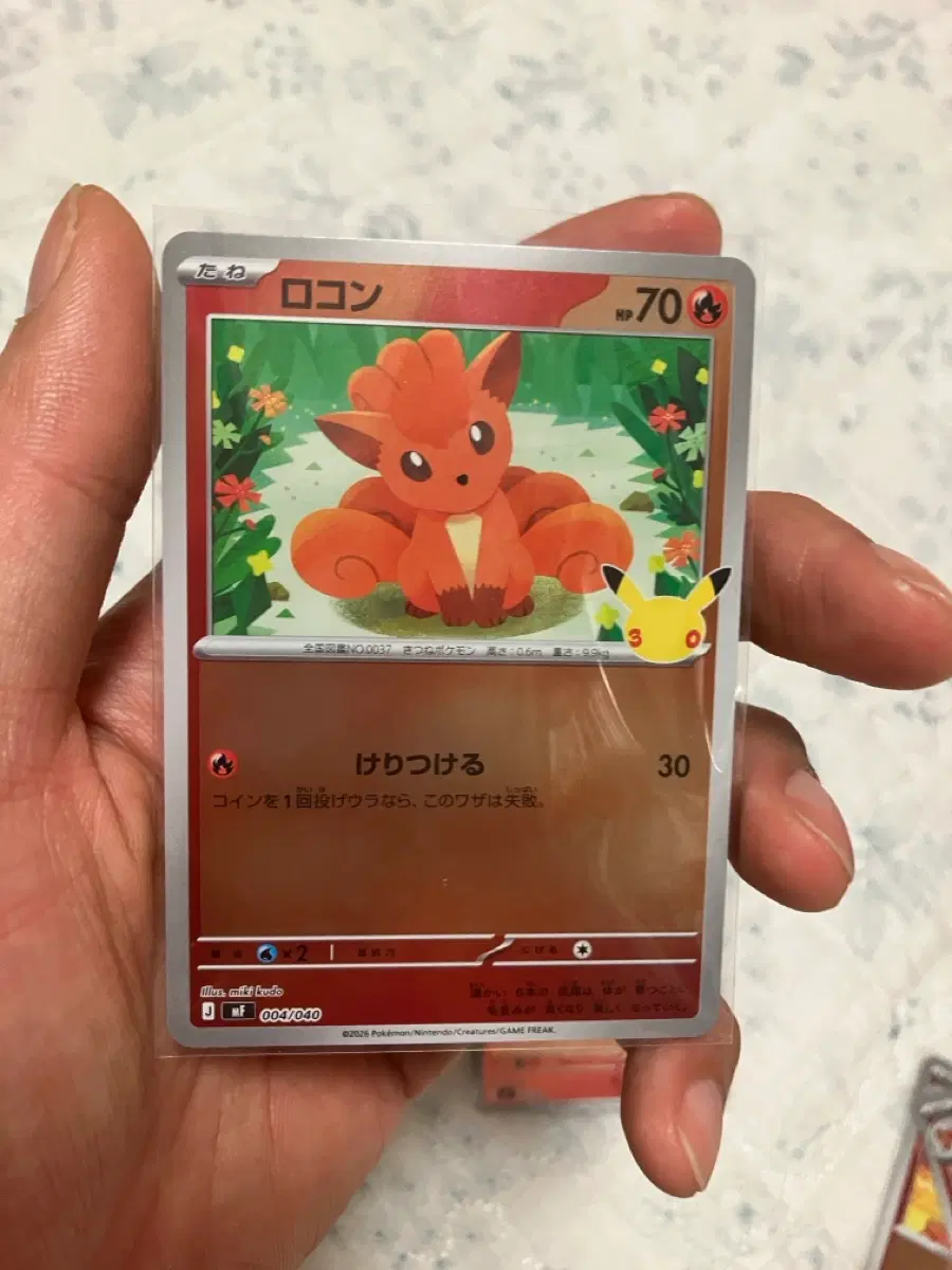 2장일괄) 포켓몬카드 TCG 식스테일 30주년 기념 프리미엄 덱 세트 에브이 & 블래키 (일어판)