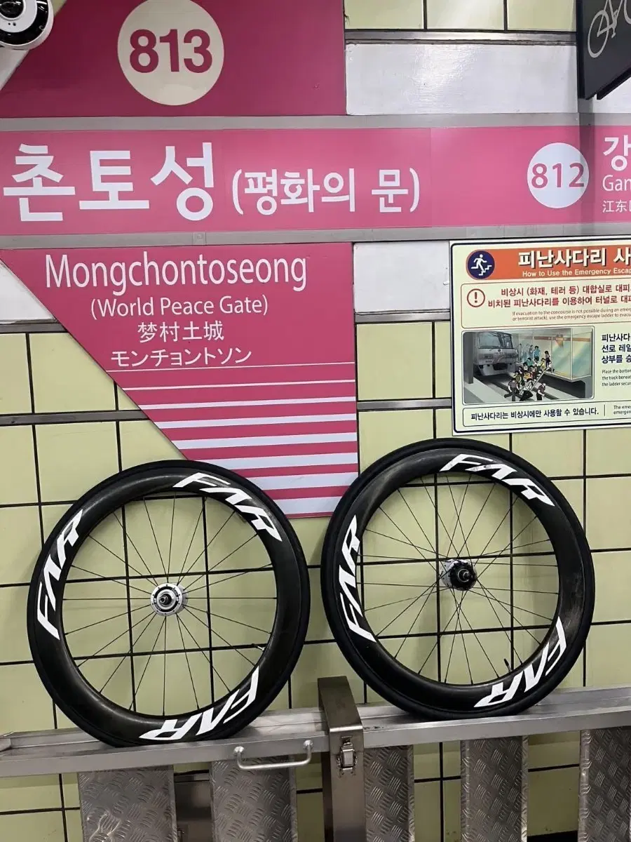 디티 파스포츠