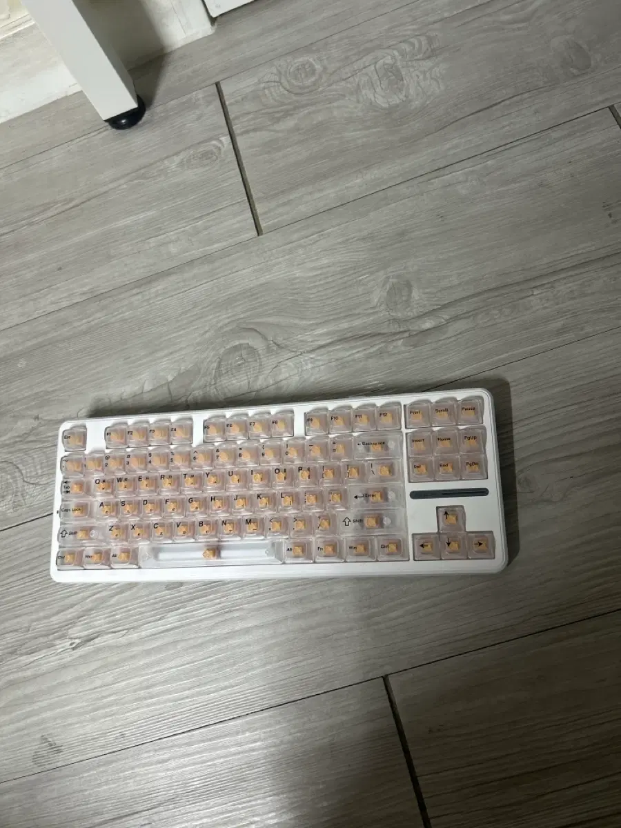 독거미 f87