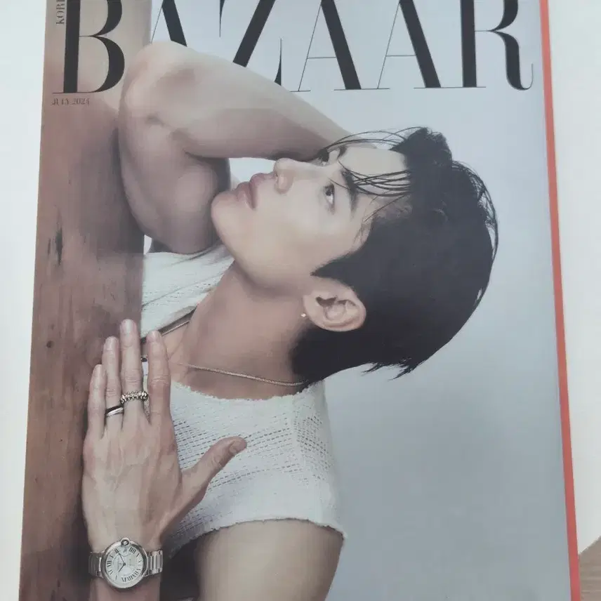 ビョンウソクバザー誌