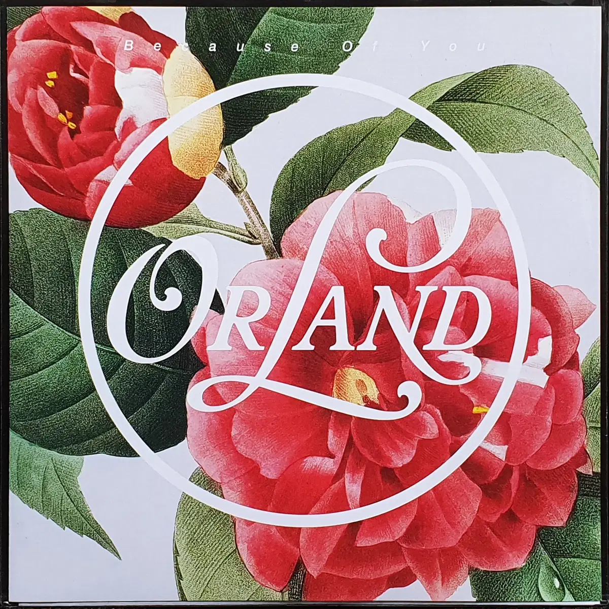 ORLAND Because Of You 7인치 EP 미개봉 신품