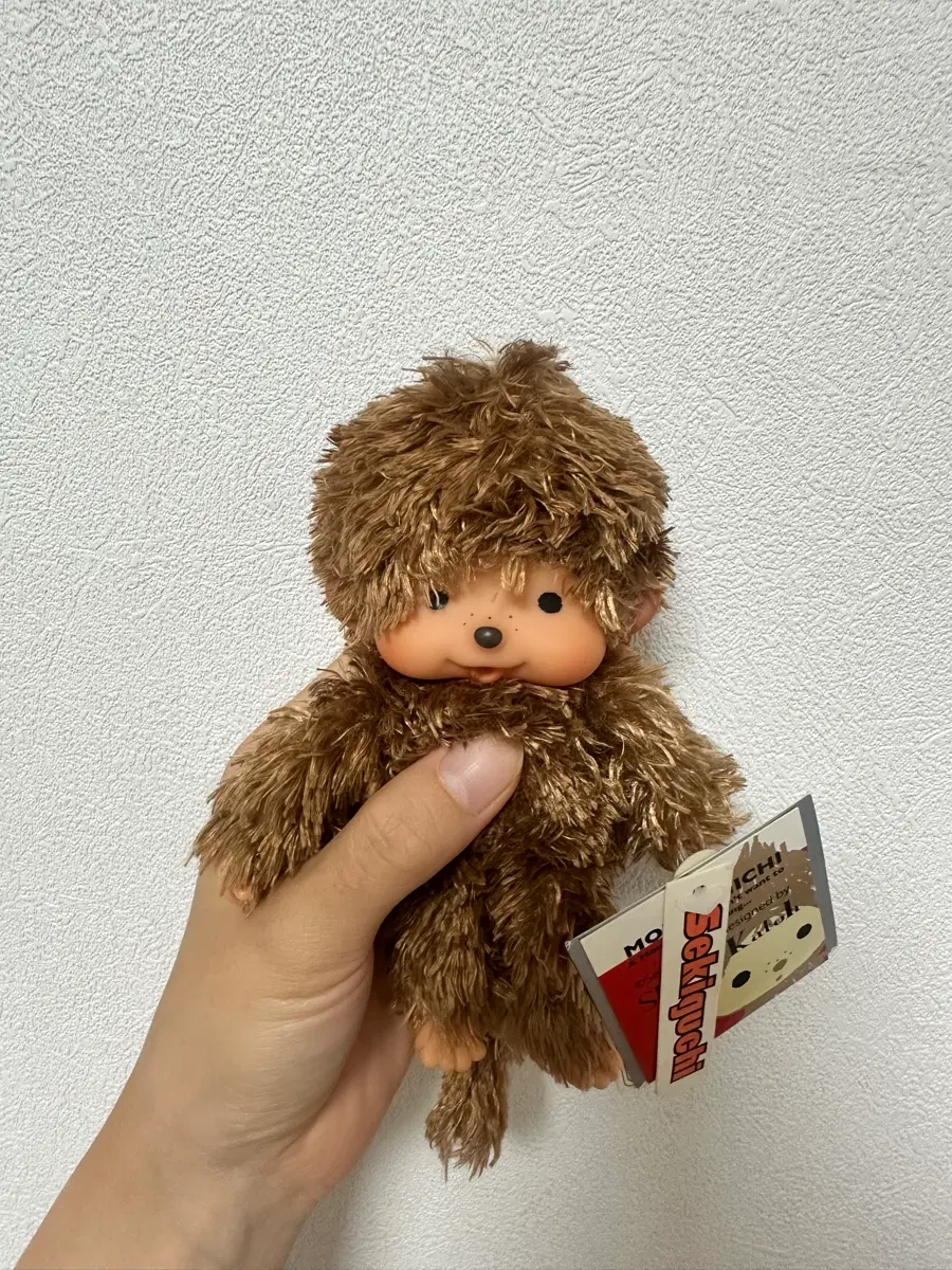 신지카토 몬치치 팝니다