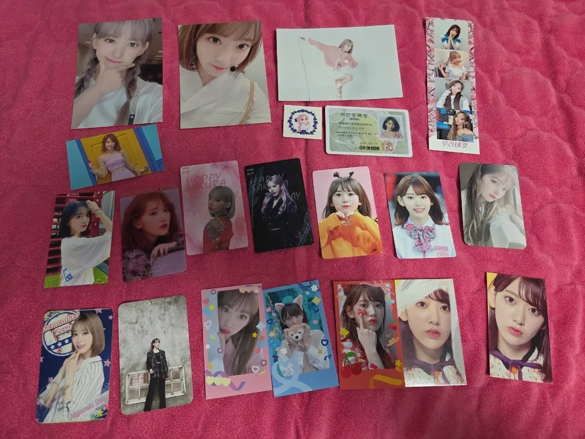 르세라핌 아이즈원 미야와키 사쿠라 생일카페 굿즈스티커 생사진 포카 구성