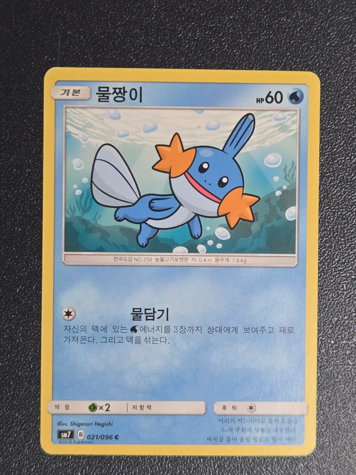 포켓몬카드 물짱이 SM7 021/096 C 앨범용_1