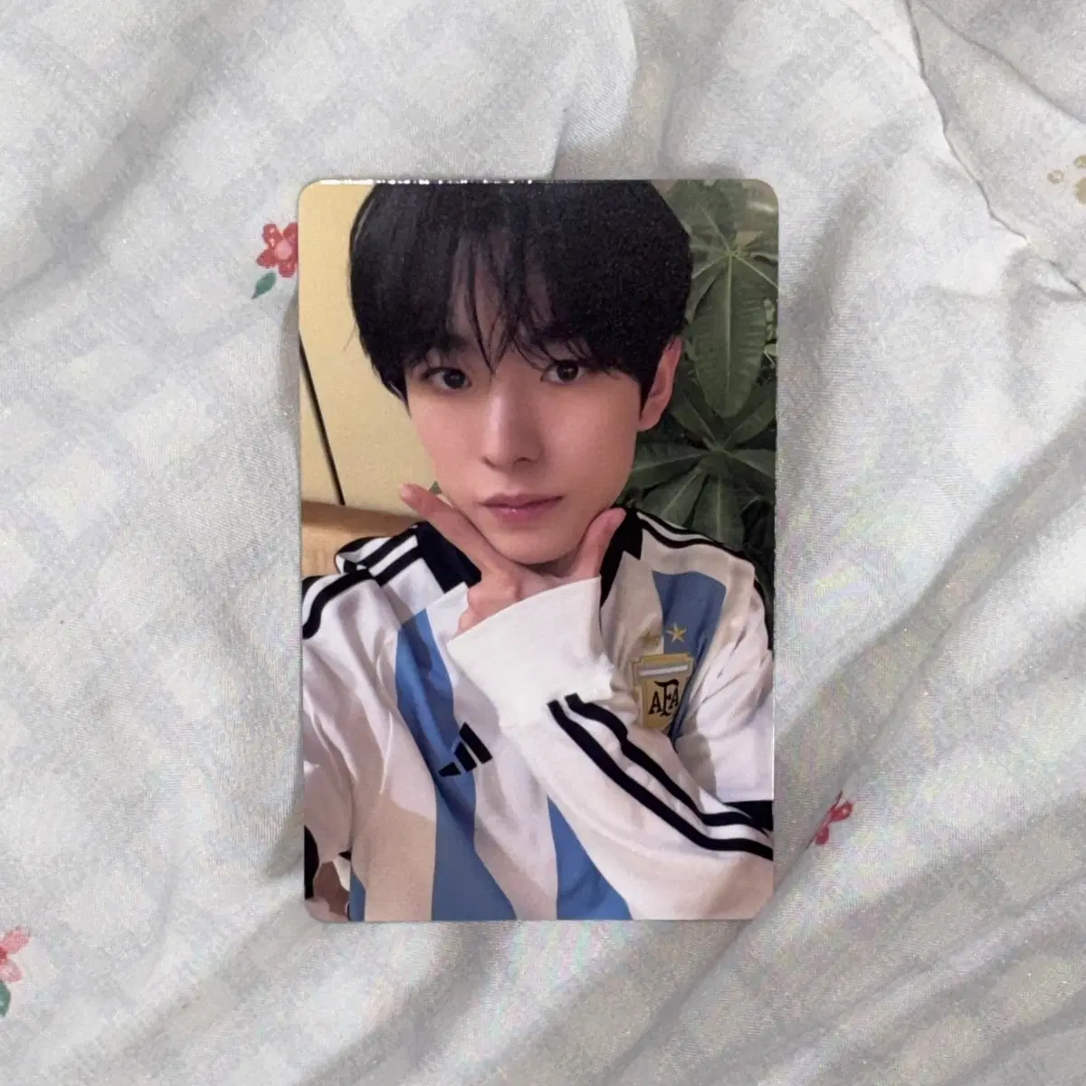 Nct Wish Yuu shi steady KMS poca