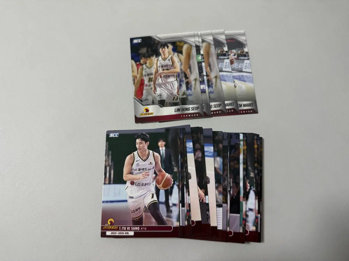 SCC KBL 창원LG 베이스 일괄