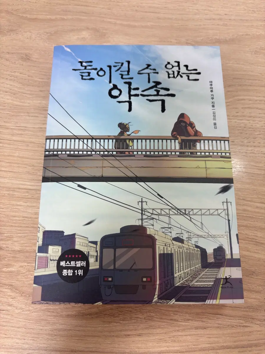 돌이킬 수 없는 약속 야쿠마루 가쿠