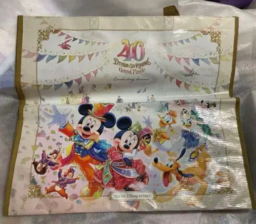 도쿄 디즈니 리조트 40주년 쇼핑백